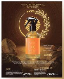 Catálogo Biogreen Página 7