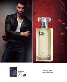 Catálogo Biogreen Página 70