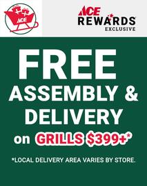 Ace Hardware flyer week 45 Page 4