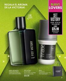 Catálogo Cyzone Página 105