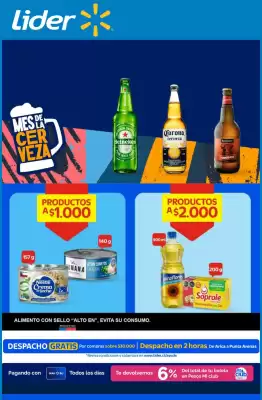 Catálogo Lider (válido hasta 11-11)