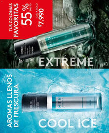 Catálogo Ésika Página 108