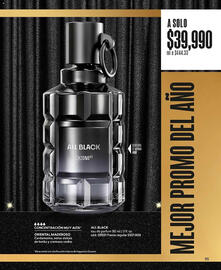 Catálogo Cyzone Página 95