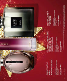 Catálogo L'bel Página 11