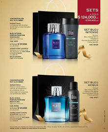 Catálogo L'bel Página 13