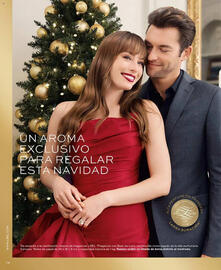 Catálogo L'bel Página 14