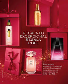 Catálogo L'bel Página 70