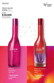 Catálogo Natura Página 104