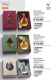 Catálogo Natura Página 107