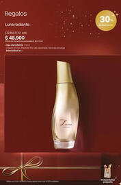 Catálogo Natura Página 13