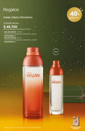 Catálogo Natura Página 14