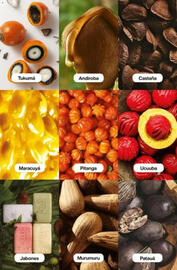 Catálogo Natura Página 198