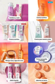 Catálogo Natura Página 219