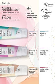 Catálogo Natura Página 224