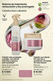 Catálogo Natura Página 251