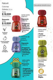 Catálogo Natura Página 292