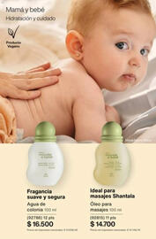 Catálogo Natura Página 294