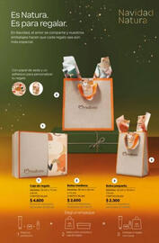 Catálogo Natura Página 42