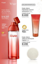 Catálogo Natura Página 97