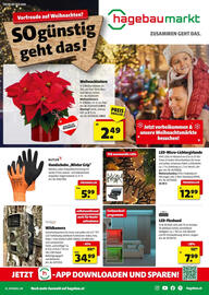 Hagebau Flugblatt Seite 1