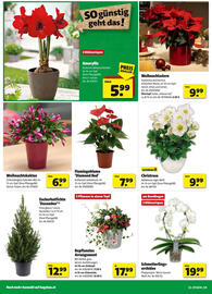 Hagebau Flugblatt Seite 2