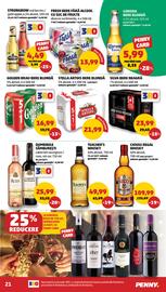 Catalog Penny săptămâna 45 Pagină 21