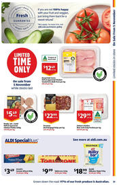 ALDI catalogue | Special Buys Page 31