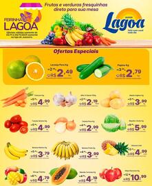 Encarte Super Lagoa semana 45 Página 2