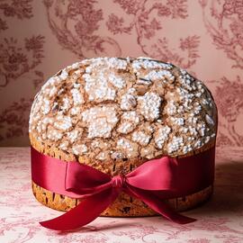 Catálogo Vasalissa Página 1