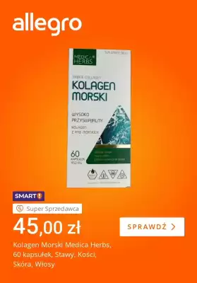 Allegro gazetka (ważność do 10-11)