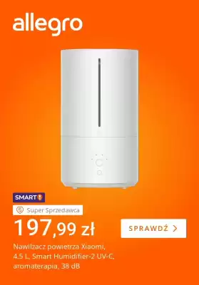 Allegro gazetka (ważność do 10-11)