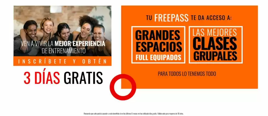 Catálogo Energy (válido hasta 20-11)