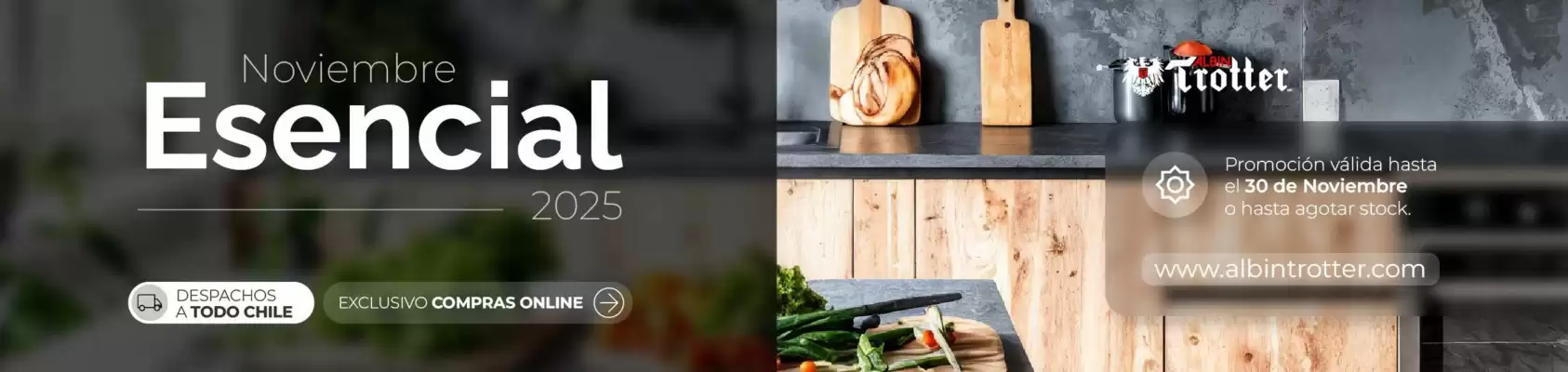 Catálogo Albin Trotter (válido hasta 20-11)