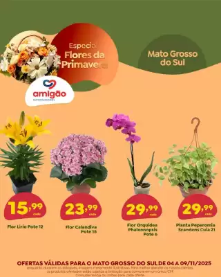 Catálogo Amigão Supermercados (válido até 9-11)