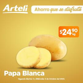 Folleto Arteli Página 2