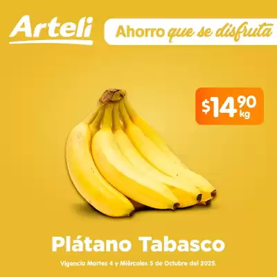 Folleto Arteli (válido hasta 5-11)