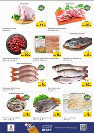 Nesto catalogue Page 8