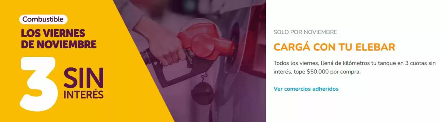 Revista Elebar (válido hasta 29-11)