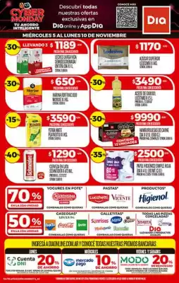 Folleto Supermercados DIA (válido hasta 10-11)