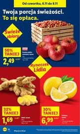 Lidl gazetka Strona 22