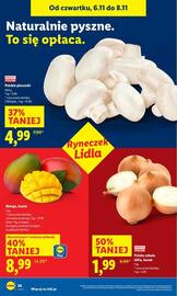 Lidl gazetka Strona 24