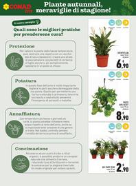 Volantino Conad City Pagina 5