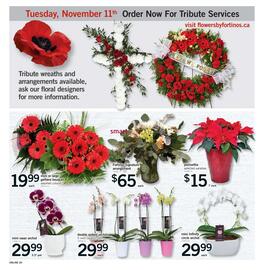 Fortinos flyer week 45 Page 19