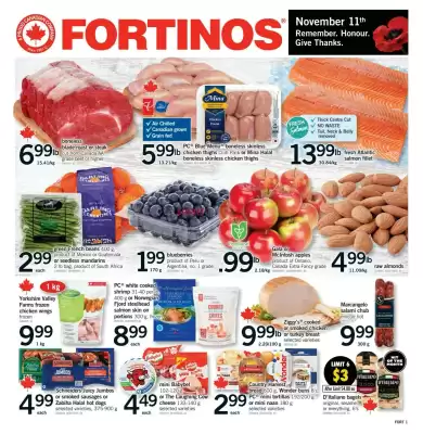 Fortinos flyer (valid until 12-11)