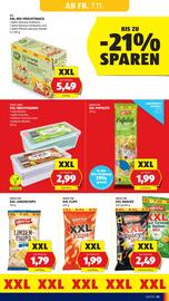 Hofer Flugblatt woche 45 Seite 15