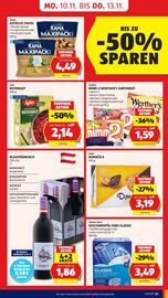 Hofer Flugblatt woche 45 Seite 23