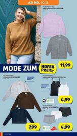 Hofer Flugblatt woche 45 Seite 30