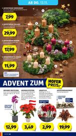 Hofer Flugblatt woche 45 Seite 46