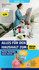 Hofer Flugblatt woche 45 Seite 48