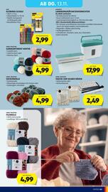 Hofer Flugblatt woche 45 Seite 49